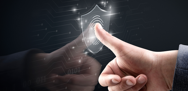 NetSuite Financial Integration