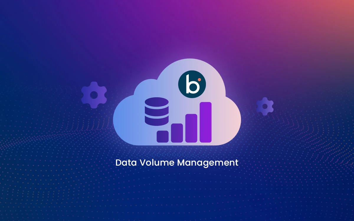 Boomi Public Cloud Data Volume Management